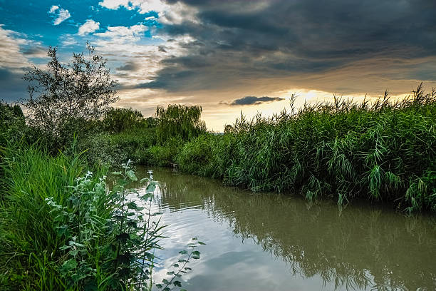 Campagna nei pressi della frazione di Cecina, Larciano