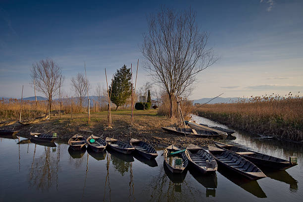 Il Padule di Fucecchio al tramonto, nel territorio di Larciano