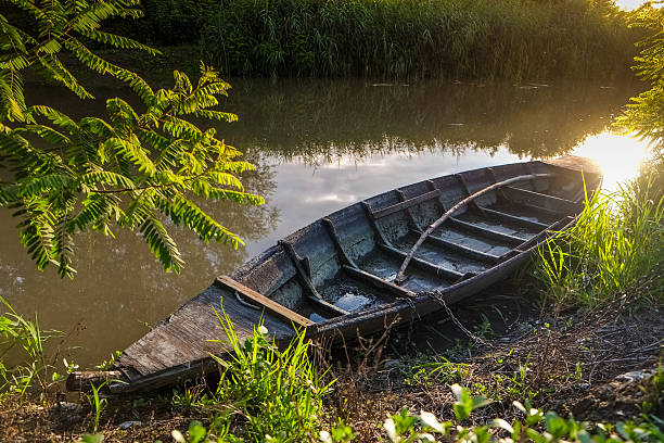 Barca sul canale del Padule di Fucecchio al tramonto