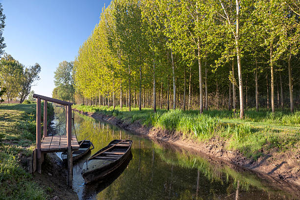 Canale alberato con barche nel Padule di Fucecchio
